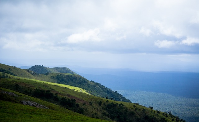 勒沃库森官方：球队主帅尤尔曼德因个人原因缺席今日对阵纽卡