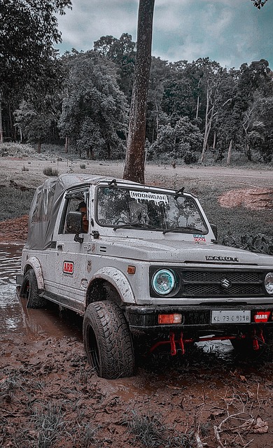 这种潜力的 这种潜力的