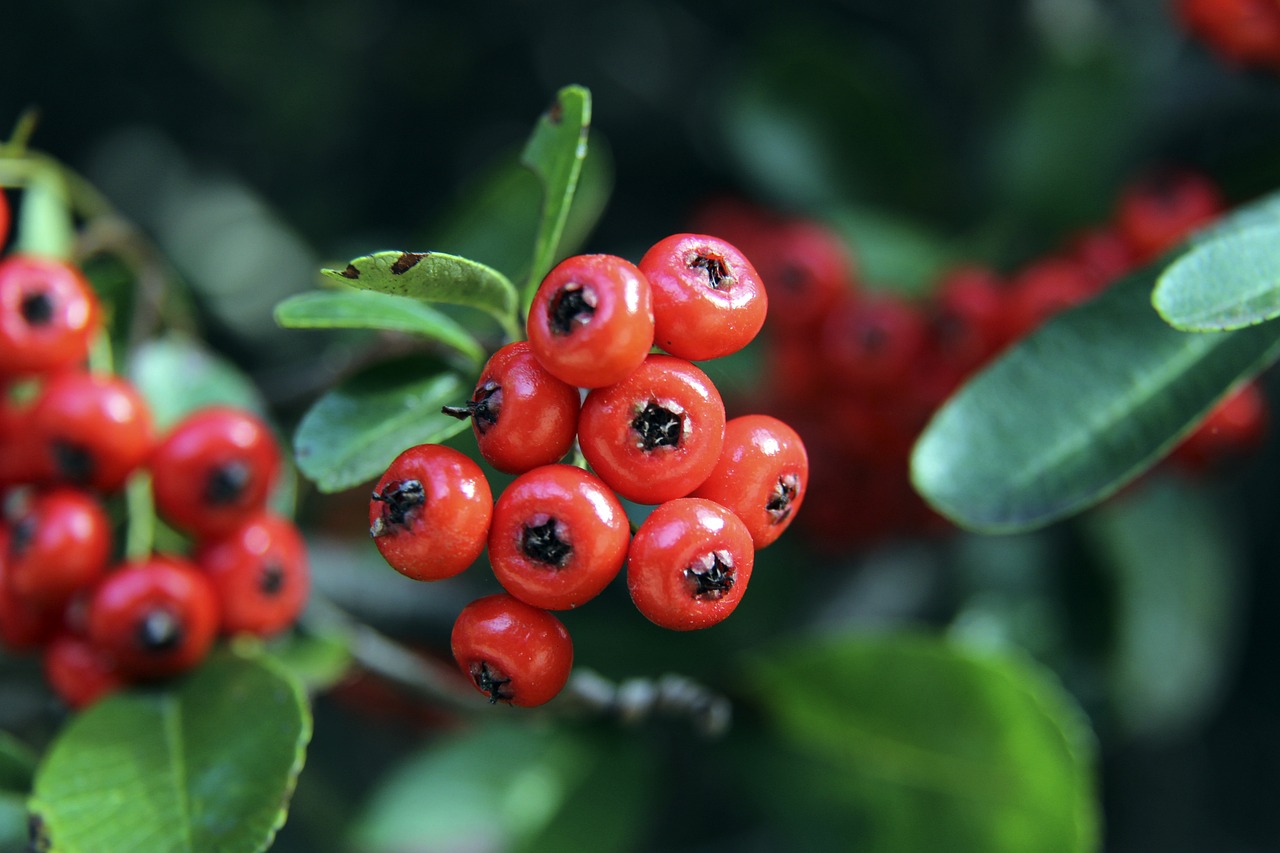 何通过跑步 何通过跑步