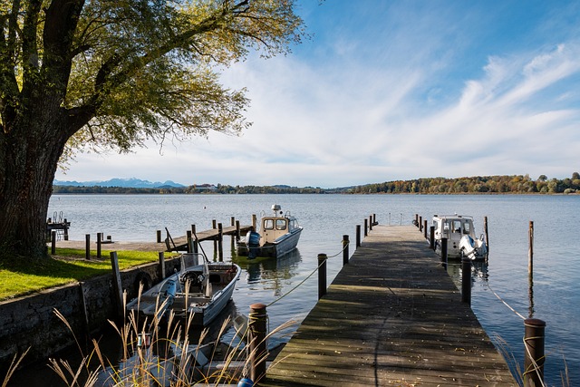 己职业生涯 己职业生涯