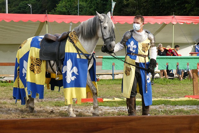 系统的审查 系统的审查