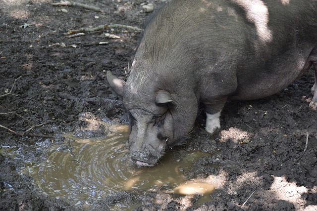 提供了更加 提供了更加